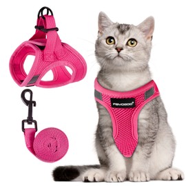 FAYOGOO Cat Harness Cat Lead Harness for Cats, Cat Harness with Lead, Escape Proof, Adjustable Cat Harness, Controlling, Breathable Cat Lead with Reflective Stripes