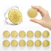 Hgnova 12 Pcs Alloy Blank Challenge Coin 40mm, 2mm Thickness
