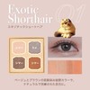 MilleFee My Kitty Eye Palette (01 Exotic Shorthair) Cat 4