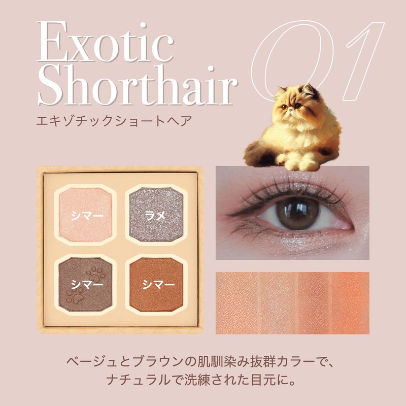 MilleFee My Kitty Eye Palette (01 Exotic Shorthair) Cat 4