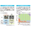 Bifidobacterium Powder BB536 (Functional Food) 30 Sachets / 7-2699-01