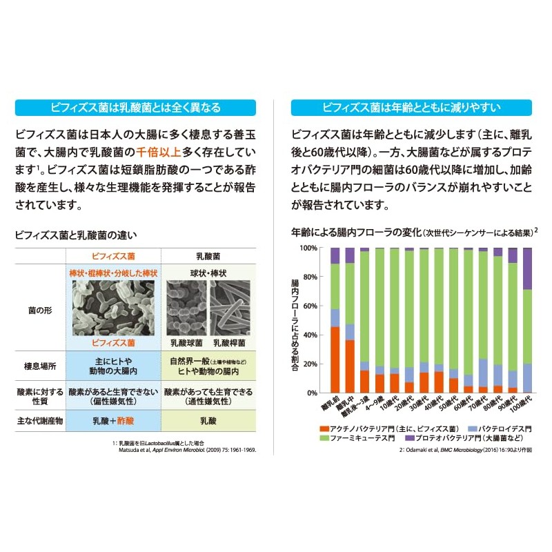 Bifidobacterium Powder BB536 (Functional Food) 30 Sachets / 7-2699-01