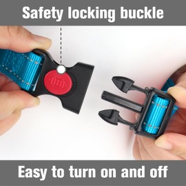 Joytale Martingale Collar for Dogs, Reflective Heavy Duty for Safety, Quick Release Buckle, Adjustable Nylon Collars for Small Dogs Walking Training, Sky Blue,S