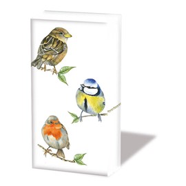 Birds Paper Handkerchiefs