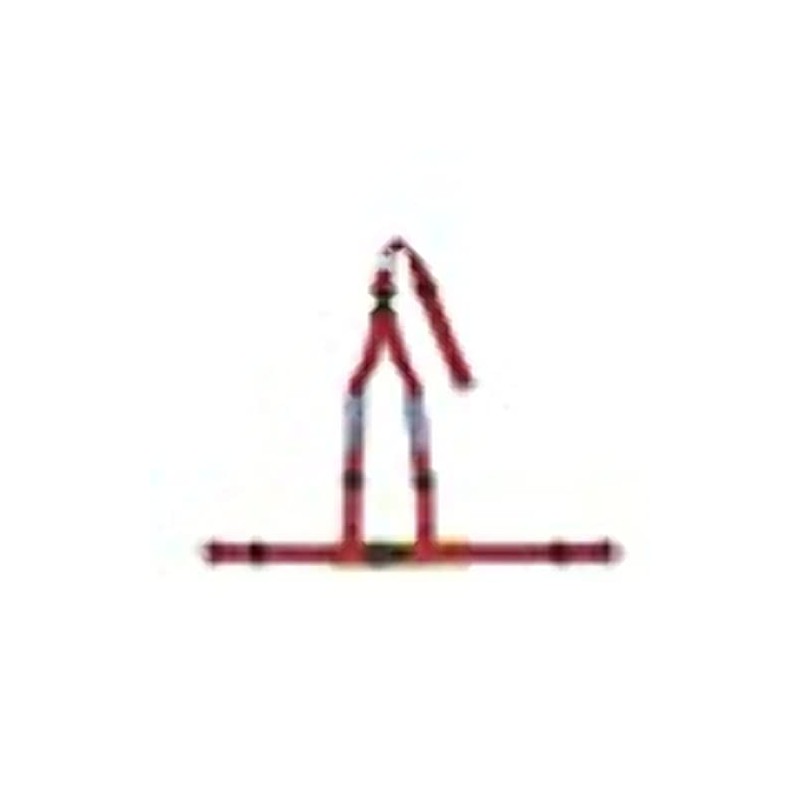 Sparco Belt 2 Inch Red 3Pt Dbl Rel
