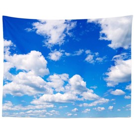 BELECO Blue Sky Tapestry Wall Hanging White Clouds Tapestry Backdrop Art Wall Decor Birthday Party Wall Decorations Clear Sunny Sky Cloud Decorative Tapestry for Bedroom Living Room Dorm