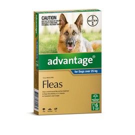 Advantage For Extra Large Dogs (Over 25kg) - 6 Pack