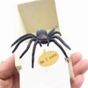 Rubber Spider Trick Box, Handmade Wooden Trick Surprise Box Spider