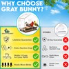 Gray Bunny Gray Bunny Window Bird Feeder with Strong Suction
