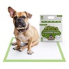 Pogi's Dog Training Pads with Adhesive Sticky Tabs (40-Count) (24x24in)