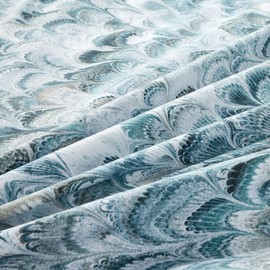 MILDLY 100% Long Staple Cotton Duvet Cover Set Queen Size, Aqua Blue Peacock Tail Plume Pattern Printed Comforter Cover Set