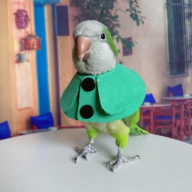 PARREN Parrot Cone Collar, Safe and Practical Collar to Prevent Bites and Licking Wounds, to Help Heal The Wound (4XL), Green