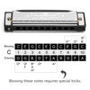 Anwenk Harmonica Key of C 10 Hole 20 Tone Diatonic