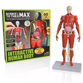 Be Amazing! Toys Interactive 3D Human Body Puzzle Model STEM Toy for Kids 8-12 Anatomy Learn