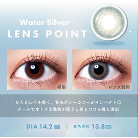 WAVE One Day Ring Limited Collection Model Vivid Muse Ecru Brown 10 pieces [BC] 8.6 [PWR] -6.00