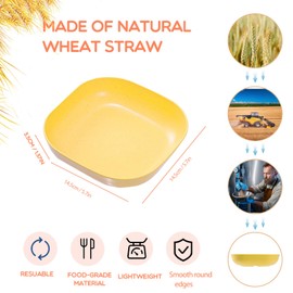 HMDZMR Cat Food Bowl Set 6 inch Wide Shallow Cat Bowls for Relief Whisker Fatigue,Small Flat Cat Dish, Shallow Pet Feeding Dish or Plate for Cats and Small Dogs (4PCS)