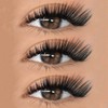 LIORE LASH Cashmere Volume Eyelash Extensions C D L M