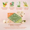 ACORUS Tea Party with 4 Different Flavors | Tea Set