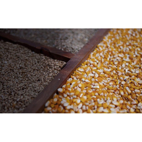 Southern Boy stills 2298543 10 lb. Moonshiners Blend 80% Cracked Corn, 10% RYE, 10% Barley by Detwiler Native Seed