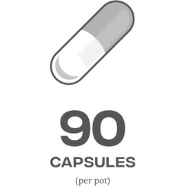 Reflex Acetyl L-Carnitine Supplement for Energy Support, 90 Capsules