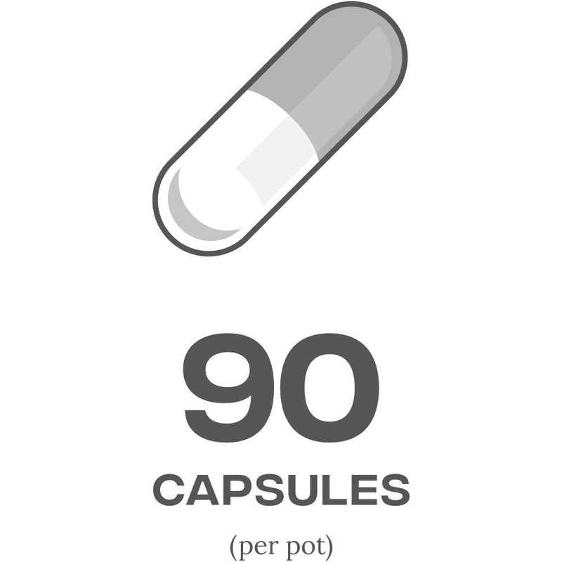 Reflex Acetyl L-Carnitine Supplement for Energy Support, 90 Capsules