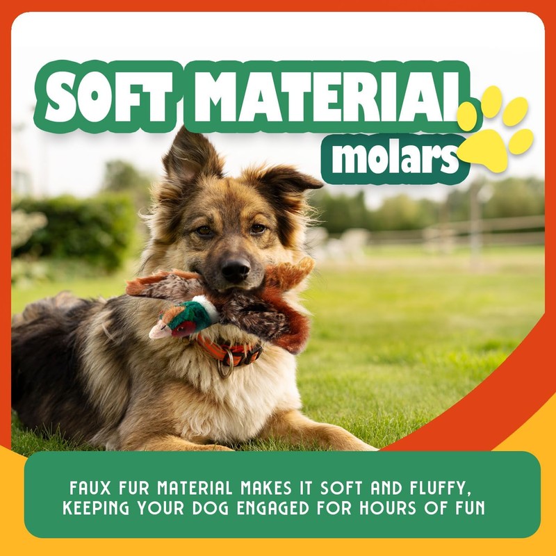 ALL FOR PAWS Classic Dog Pheasant Toys, Squeaky Dog Toys