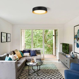 Goomavi Modern Flush Mount Ceiling Lights,Minimalist 16.5IN Round Close to Ceiling Light Fixtures,Black and Gold Metal Ceiling Lighting Lamp for Living Room,Dining Room,Bedroom,Kitchen