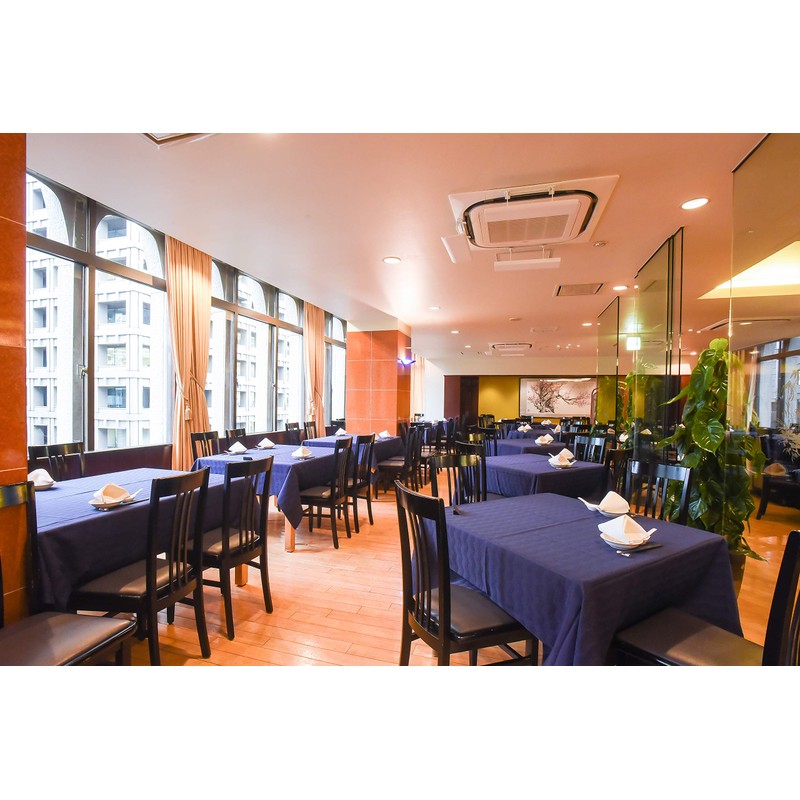 Tetsujin Kenichi Annin Tofu 17.6 oz (500 g)