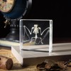 Taxidermy Bat Skeleton, Real Bats Animal Bones Specimens Resin Animals