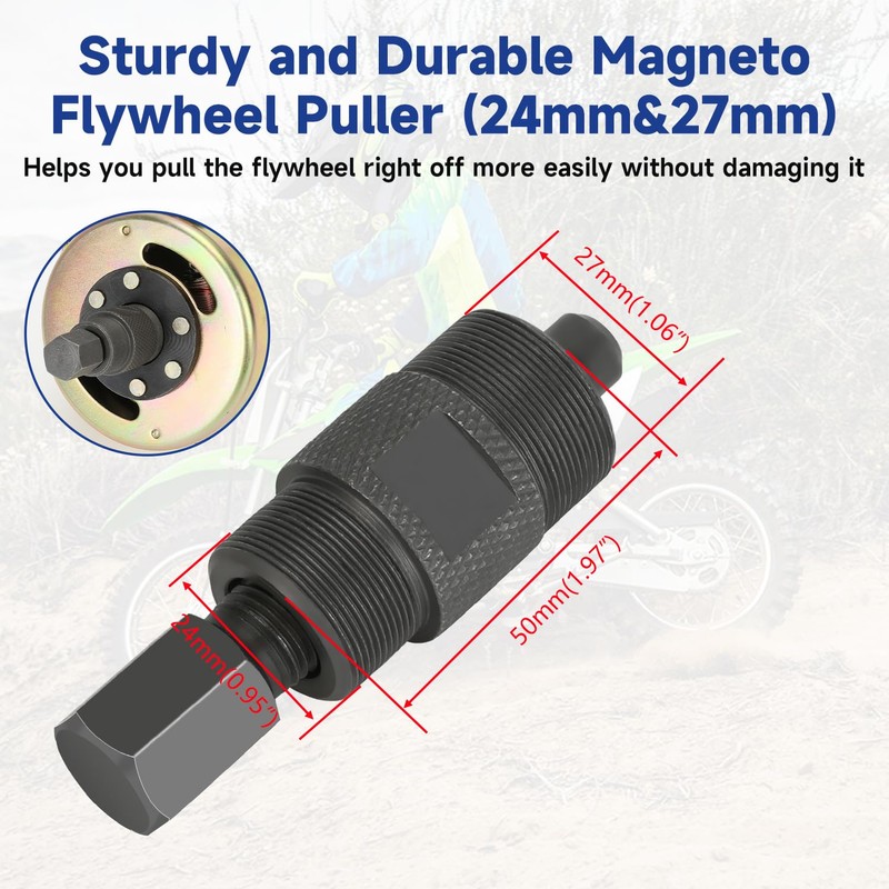 SHIQINHA 2 Coil Ignition Magneto Stator for Taotao Coolster 125cc