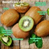 Tratamiento Serum Facial De Tela Nutritivo Hidratante Frutal