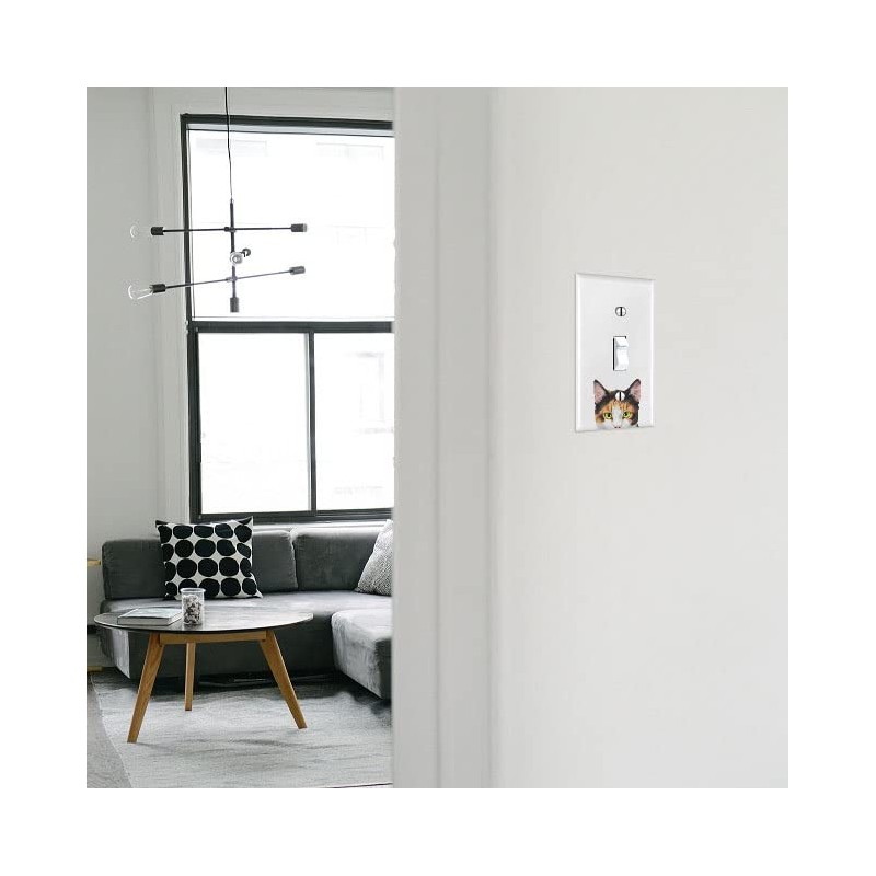 WIRESTER Single Gang Toggle Light Switch Plate/Wall Plate Cover -