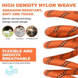 Recall Lead for Dogs, 5 m, 10 m, 15 m, 20 m Strong Dog Lead with Comfortable Padded Handle, Lockable Hook, Training Lead for Small, Medium and Large Dogs