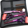 6.0 inch hair scissors set hair cutting scissors & thinning