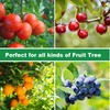 8.2 x 8.2 ft Large Fruit Tree Netting to Protect