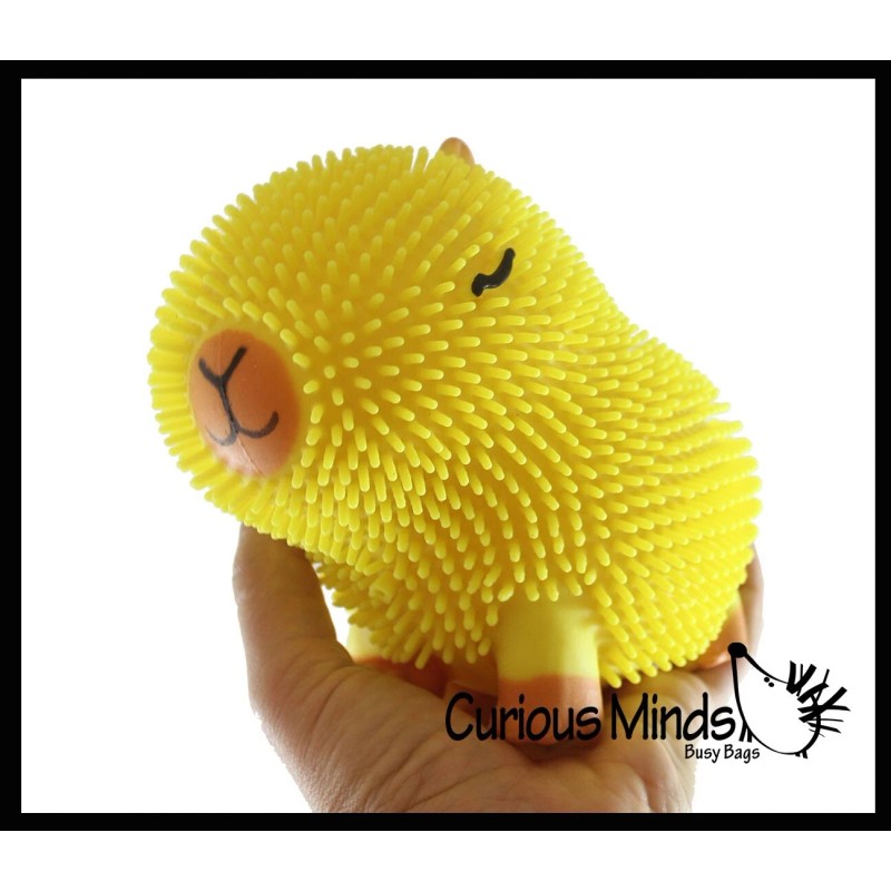 Not Specified 1 RANDOM Capybara 6" Puffer Air- Filled Squeeze