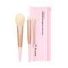 Fleria 로즈라떼 3종 브러쉬세트(핑크 지퍼파우치 포함) Rose Latte 3-Piece Brush