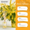 Natural Reed Diffuser Set by DANI Naturals - Fresh Grapefruit