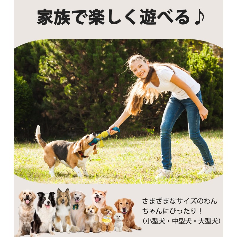 Flechazo Dog Toy Heavy Duty Sound Dog Plush Toy for