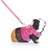 Stock Show Small Pet Outdoor Walking Harness Vest and Leash
