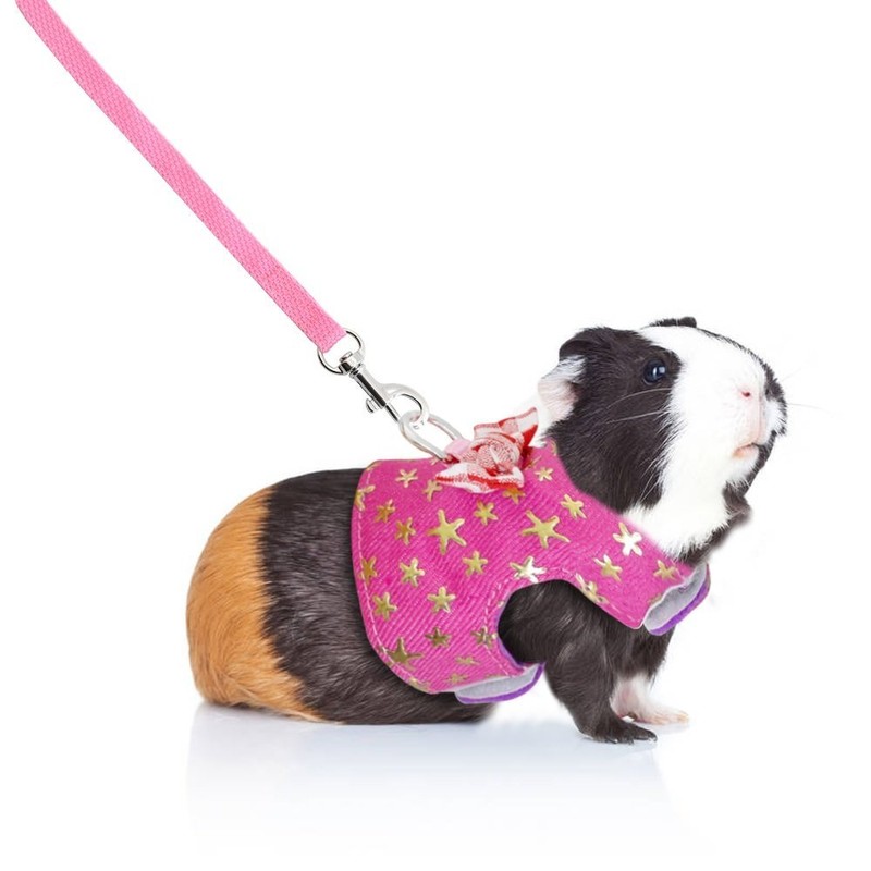Stock Show Small Pet Outdoor Walking Harness Vest and Leash
