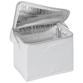 Thermal Insulated Portable Cool Canvas Stripe Lunch Picnic Totes Carry Case Bag (Large, White)