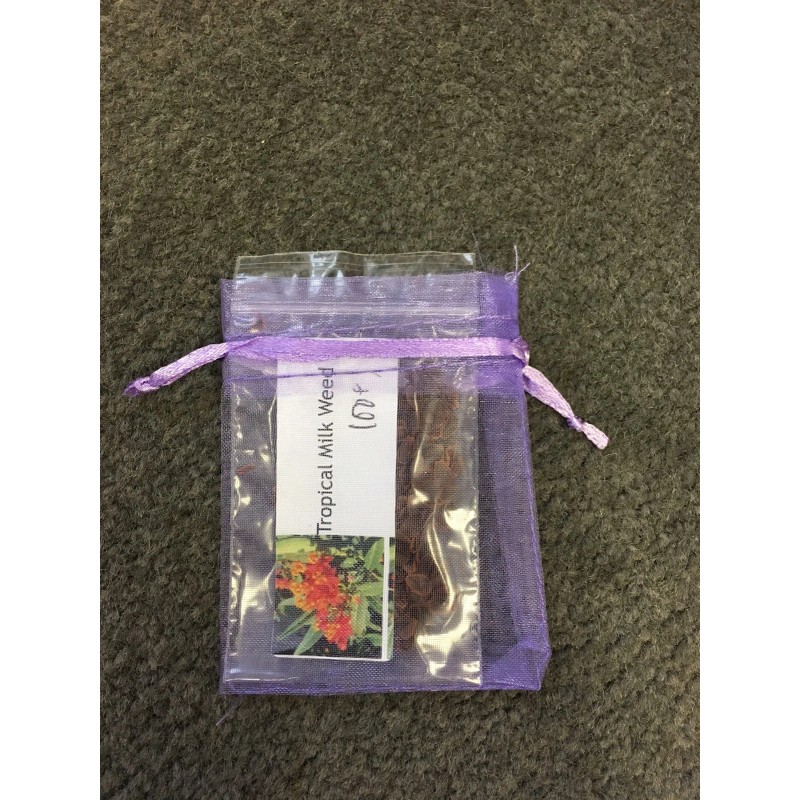 Unbranded Asclepias Curassavica-Tr