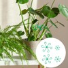 DILUSILK Plant Stem Support, 4pcs Plastic Plant Climbers Stem Holders