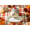Potter's Studio Hedgehog Butter Dish with Lid Multicolor