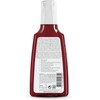 RAUSCH Willow Bark Treatment Shampoo 200 ml