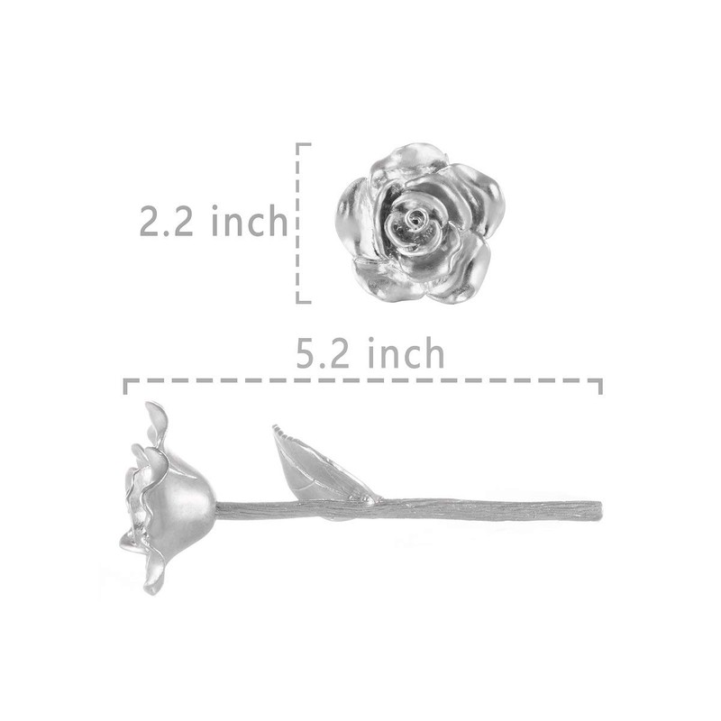 BESZONE Tin Rose 10th Anniversary for Her Gift - Tin