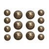 14PCS Clothes Button - 8Pcs×20mm and 6Pcs×25mm Lion Head Metal