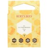 Burt's Bees Kit de regalo color y cuidado natural