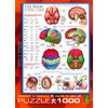 EuroGraphics Human Body (The Brain) 1000 Piece Puzzle
